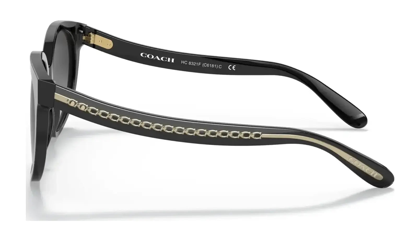 Coach C6182 HC8321F Sunglasses | Size 57
