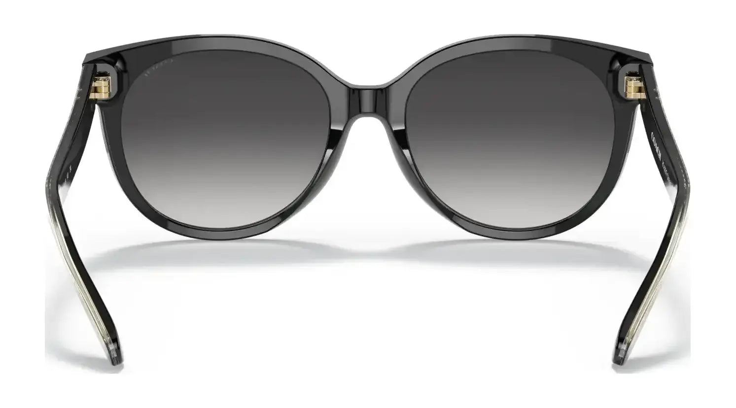 Coach C6182 HC8321F Sunglasses | Size 57