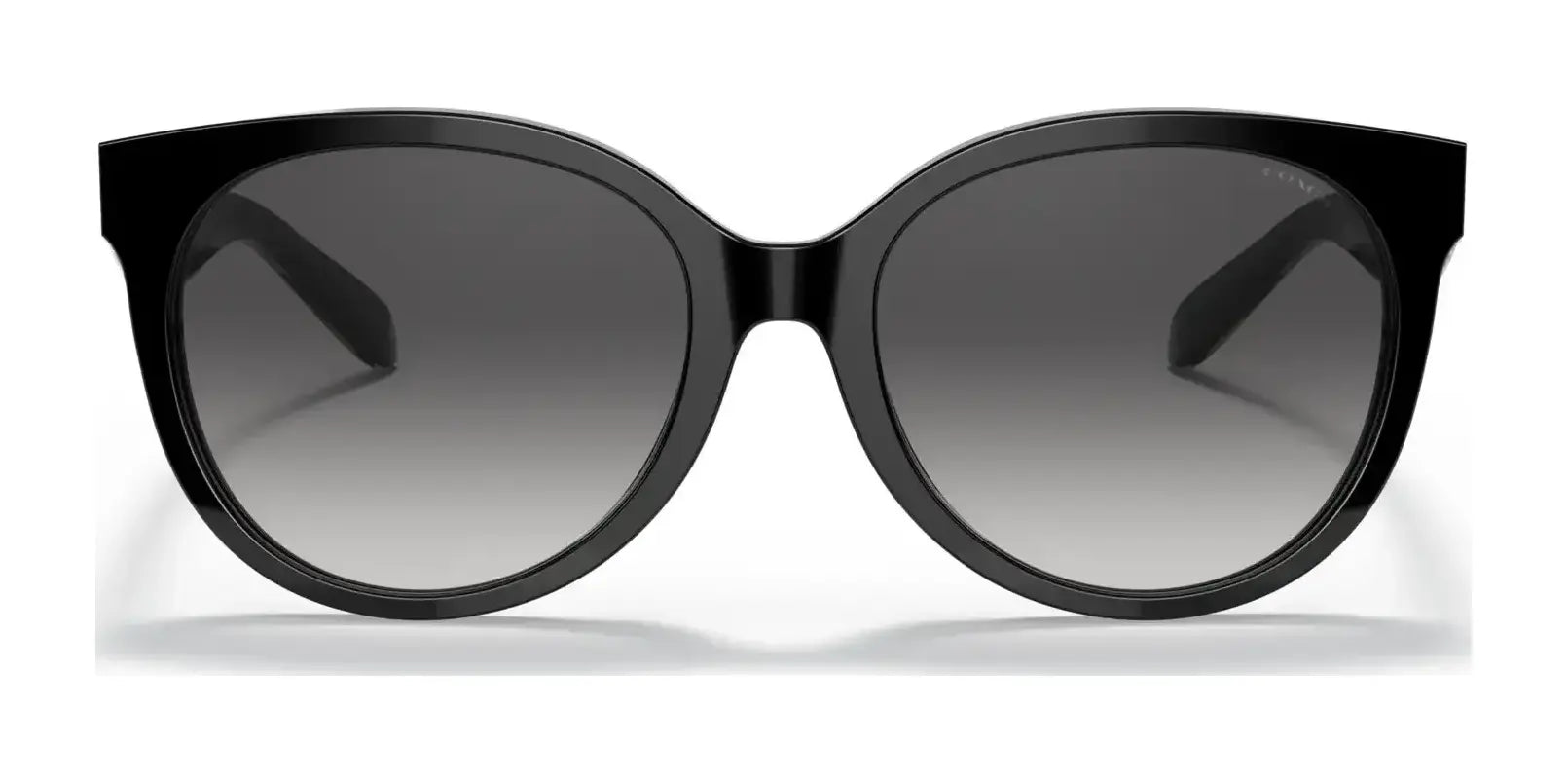 Coach C6182 HC8321F Sunglasses | Size 57
