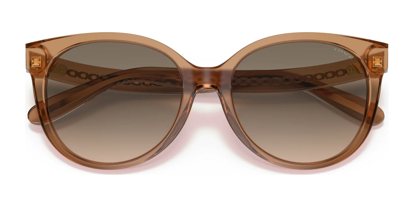 Coach C6182 HC8321F Sunglasses | Size 57