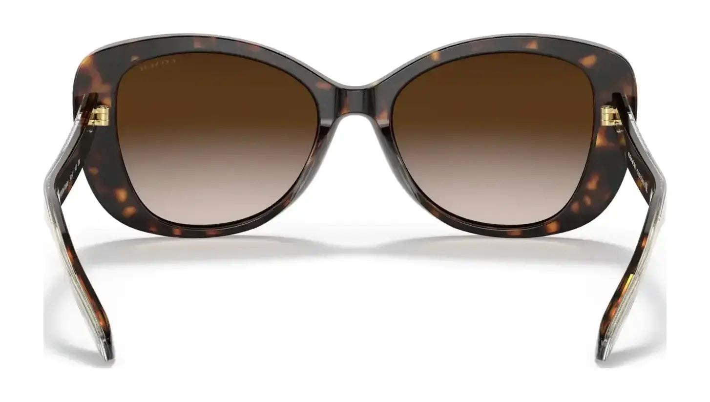 Coach C6183 HC8322 Sunglasses | Size 54