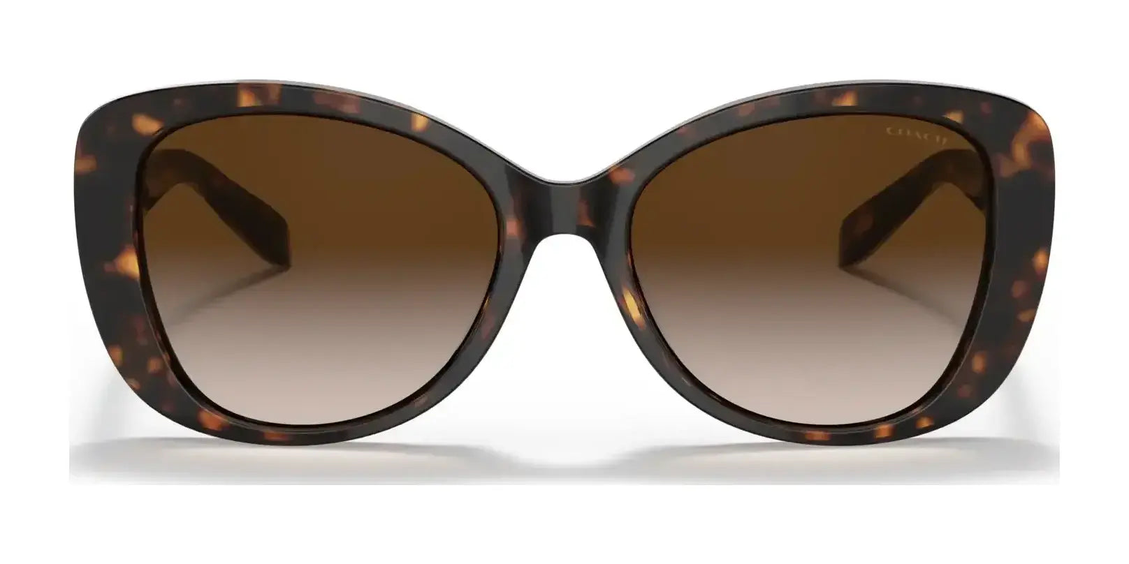 Coach C6183 HC8322 Sunglasses | Size 54