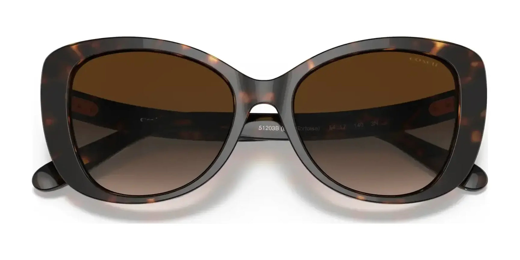 Coach C6183 HC8322 Sunglasses | Size 54