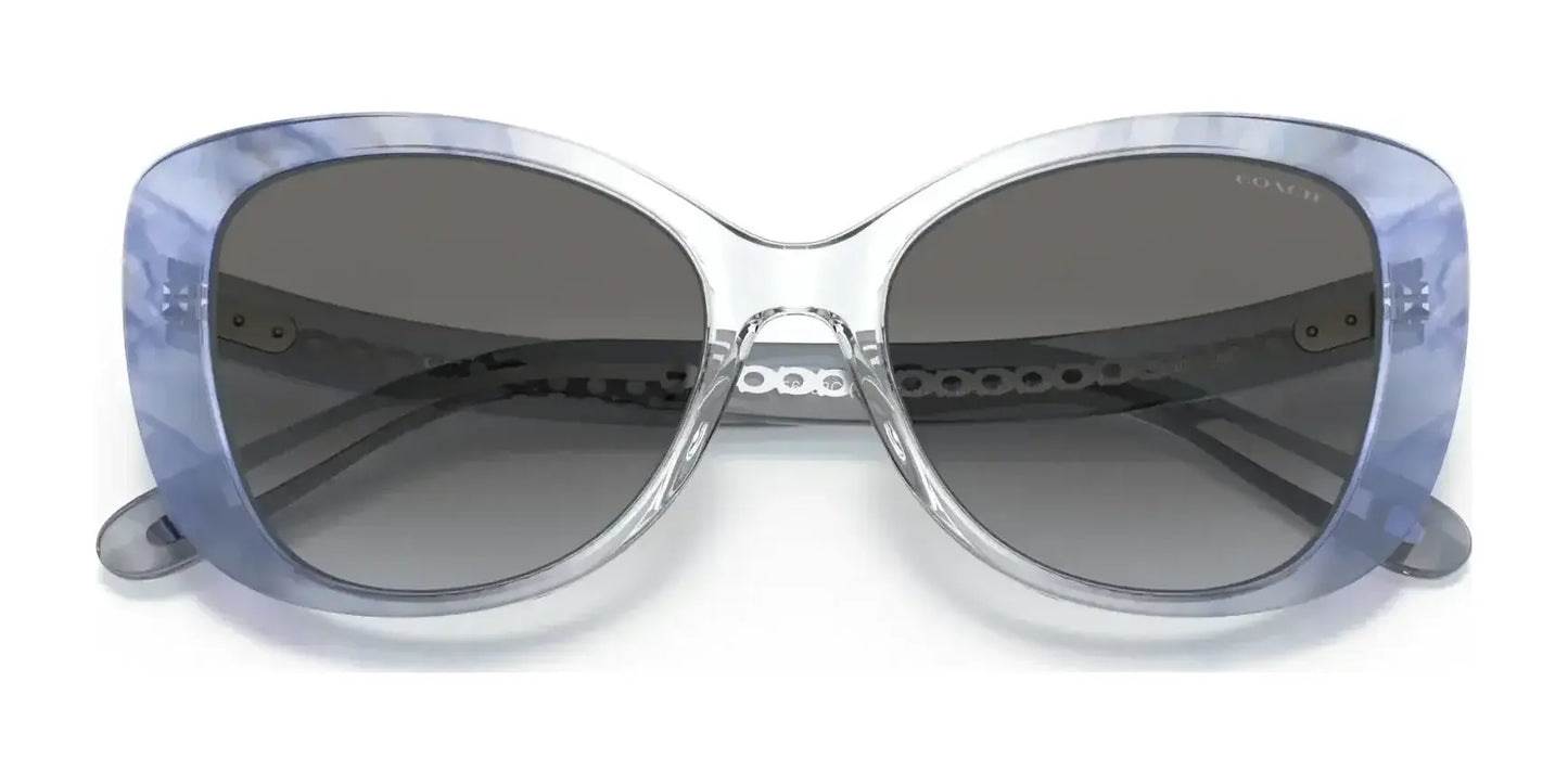 Coach C6183 HC8322 Sunglasses | Size 54