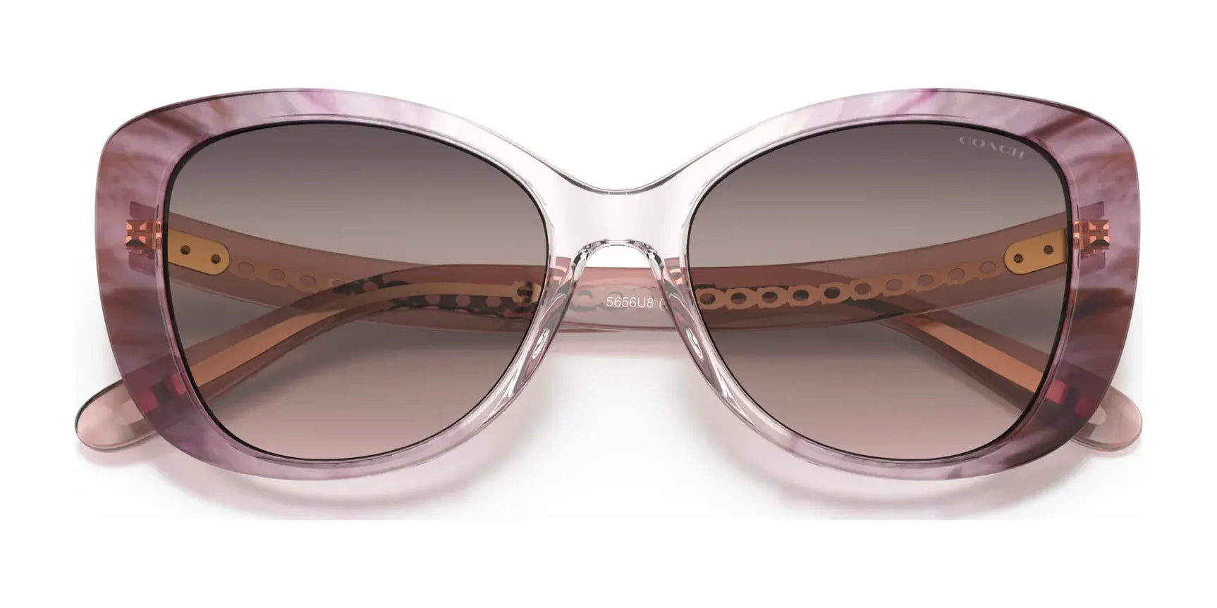 Coach C6183 HC8322 Sunglasses | Size 54