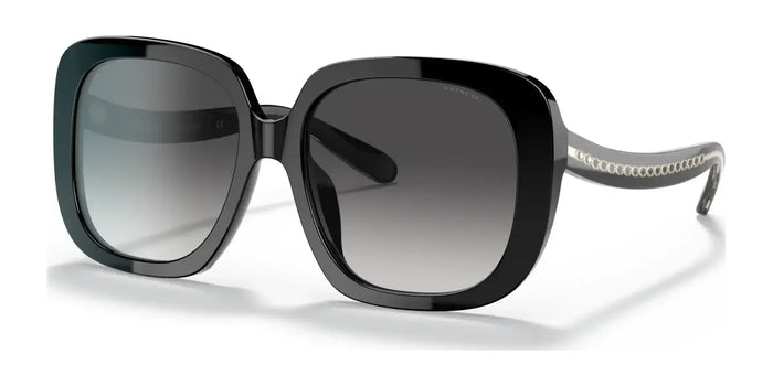 Coach C6185 HC8323U Sunglasses | Size 56 / Black / Light Grey Gradient Black (3N 13.2%) №50028G