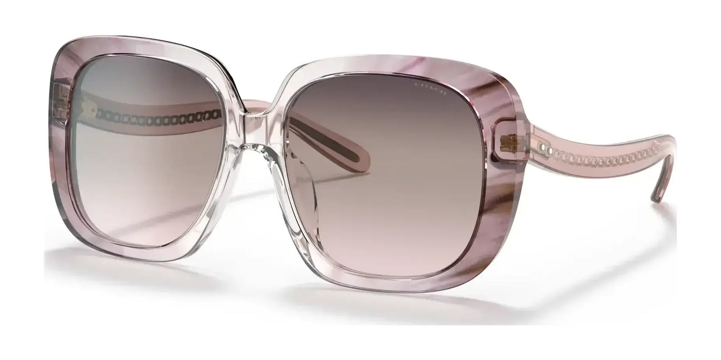 Coach C6185 HC8323U Sunglasses | Size 56