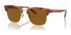 Coach C6194 HC8326 Sunglasses | Size 52 / Caramel Tortoise/Light Gold / Brown Solid (Polarized) (3P 13.4%) №577483