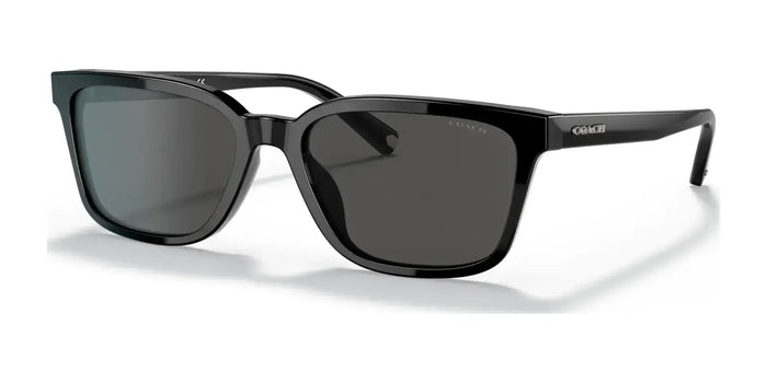 Coach C6196 HC8328U Sunglasses | Size 57 / Black / Dark Grey Solid (3N 10%) №500287