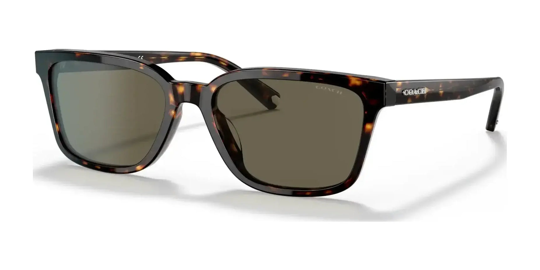 Coach C6196 HC8328U Sunglasses Dark Tortoise / Dark Brown Solid