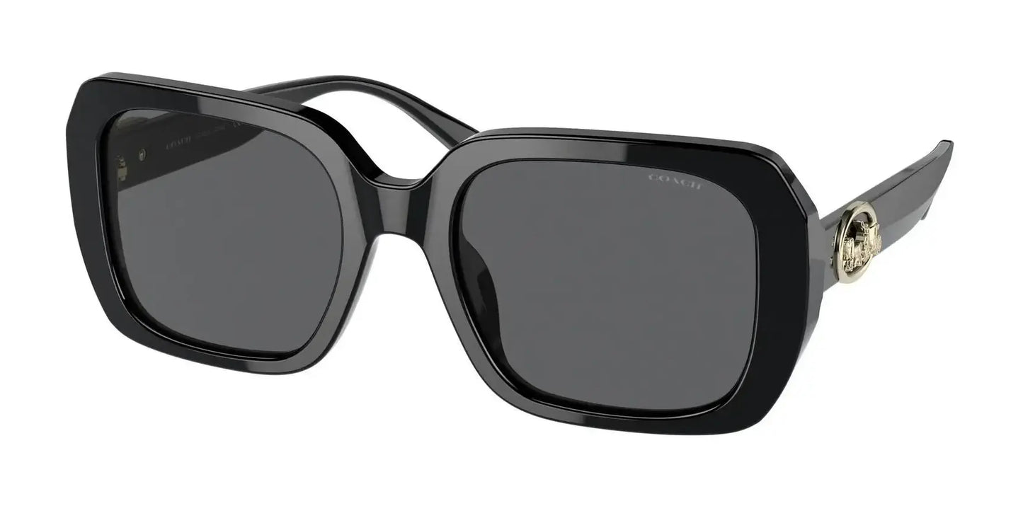 Coach C6188 HC8329U Sunglasses Black / Dark Grey Solid