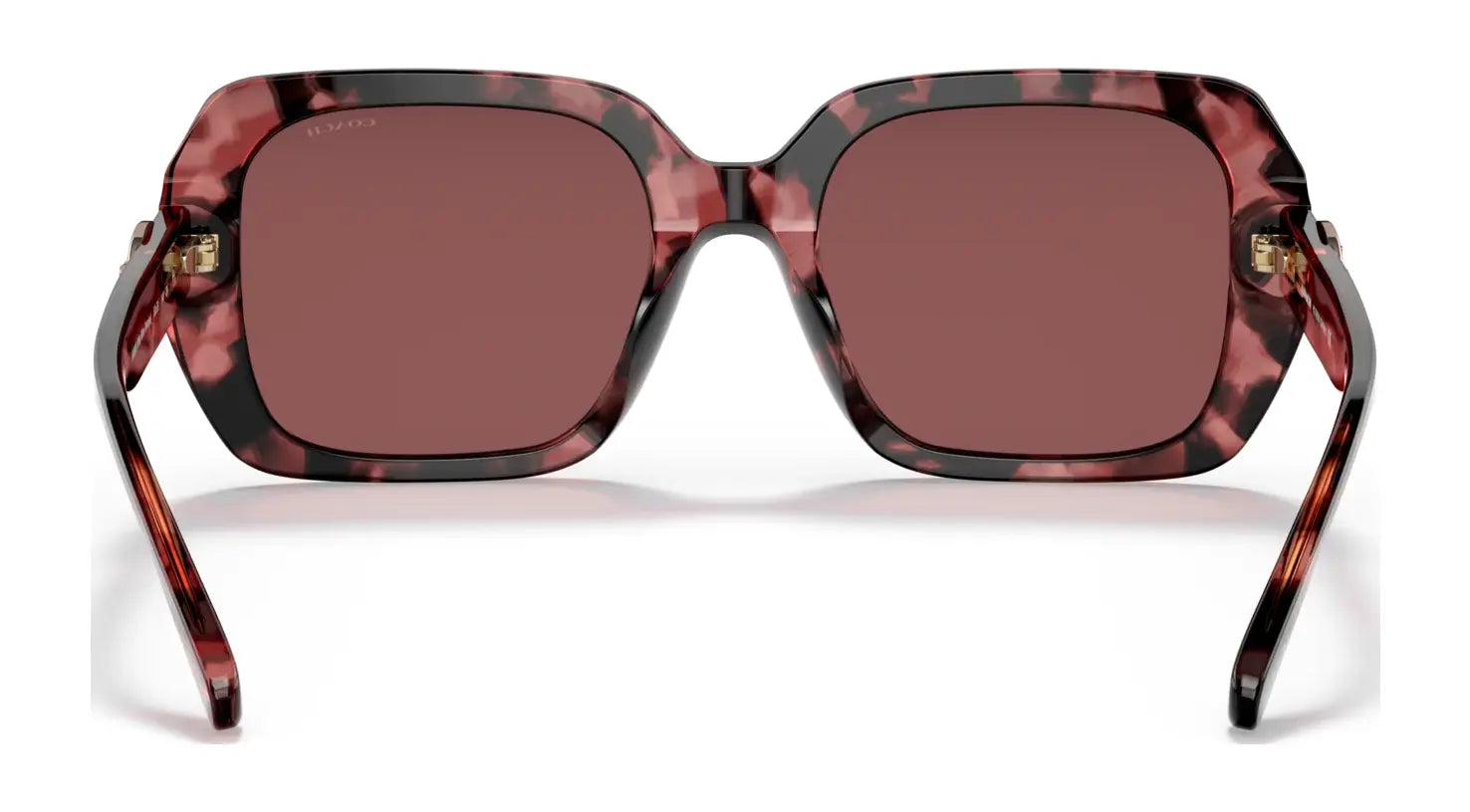 Coach C6188 HC8329U Sunglasses | Size 53