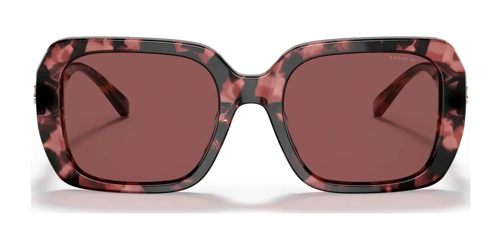 Coach C6188 HC8329U Sunglasses | Size 53