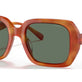 Amber Tortoise/Coach Print
