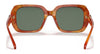 Coach C6188 HC8329U Sunglasses | Size 53 / Amber Tortoise/Coach Print / Dark Green Solid (3N 14.0%) №56603H