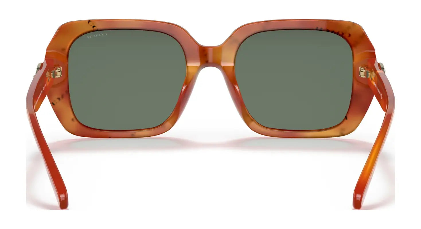 Coach C6188 HC8329U Sunglasses | Size 53