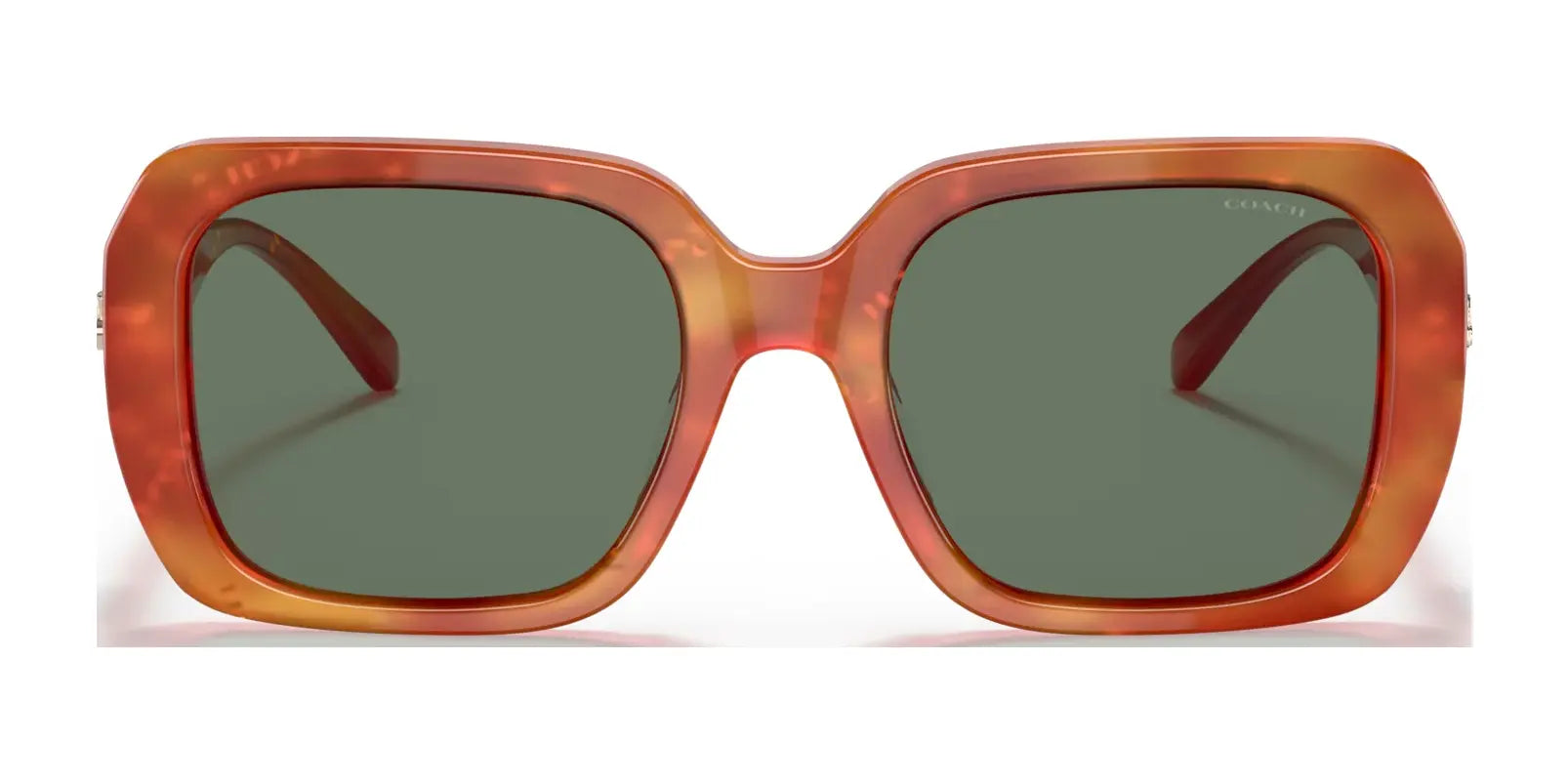 Coach C6188 HC8329U Sunglasses | Size 53