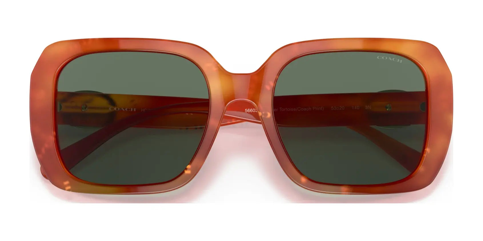 Coach C6188 HC8329U Sunglasses | Size 53