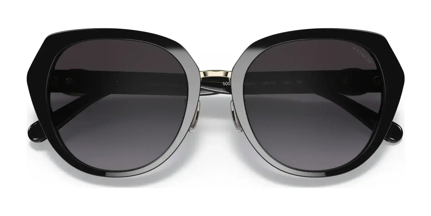 Coach C6189 HC8331 Sunglasses | Size 55