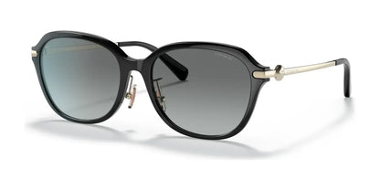 Coach C6199 HC8332D Sunglasses Black / Grey Gradient