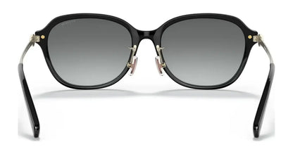 Coach C6199 HC8332D Sunglasses | Size 56