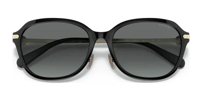 Coach C6199 HC8332D Sunglasses | Size 56