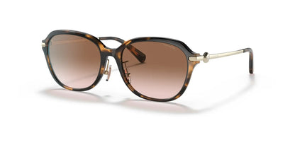 Coach C6199 HC8332D Sunglasses | Size 56