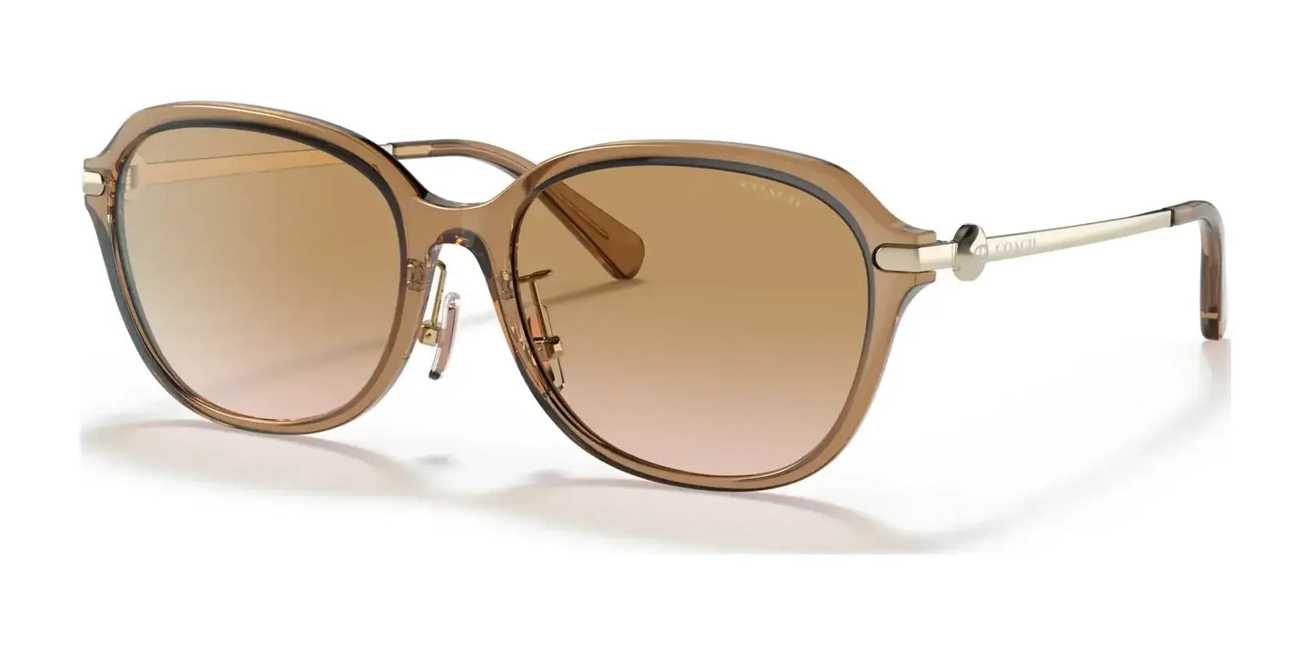 Coach C6199 HC8332D Sunglasses | Size 56