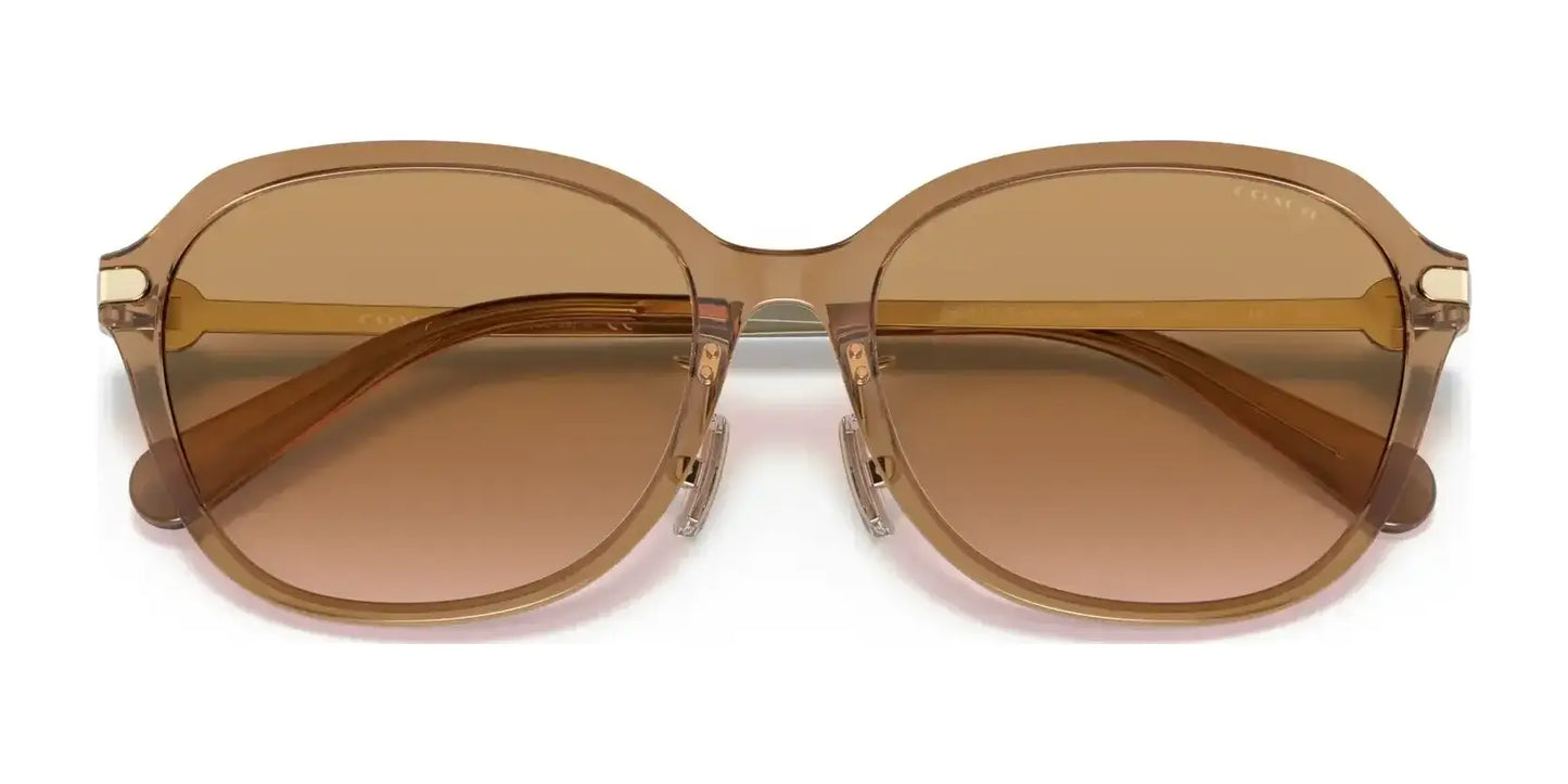 Coach C6199 HC8332D Sunglasses | Size 56