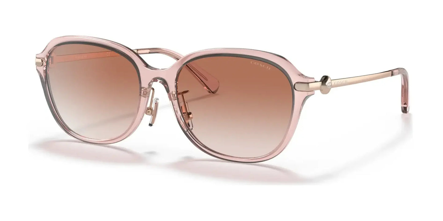 Coach C6199 HC8332D Sunglasses Transparent Pink / Pink Gradient