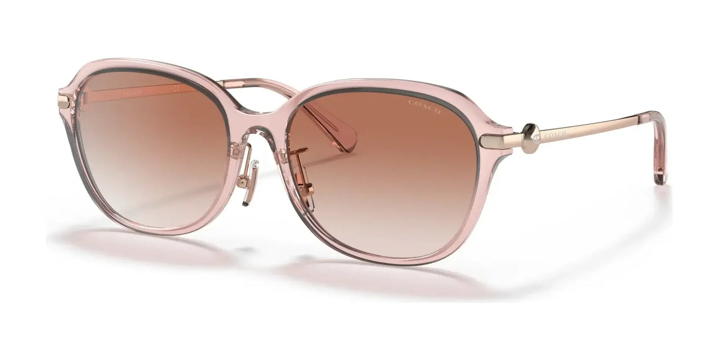 Coach C6199 HC8332D Sunglasses | Size 56