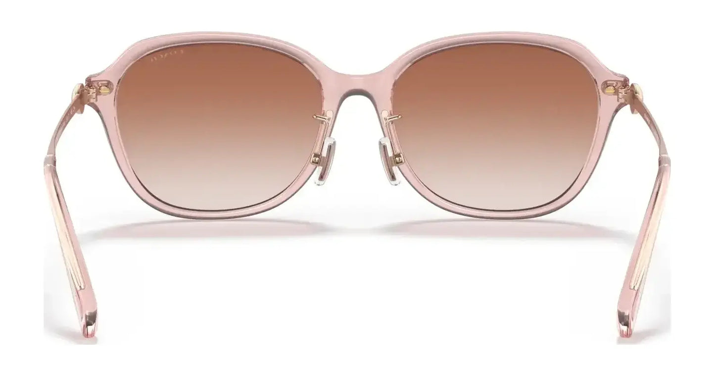 Coach C6199 HC8332D Sunglasses | Size 56