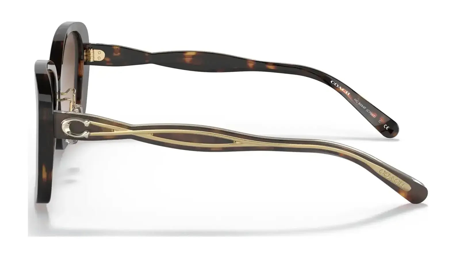 Coach C7993 HC8334F Sunglasses | Size 55