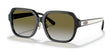 Coach C7990 HC8335F Sunglasses Black / Olive Gradient