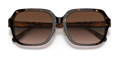 Coach C7990 HC8335F Sunglasses | Size 56