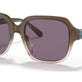 Transparent Brown Gradient