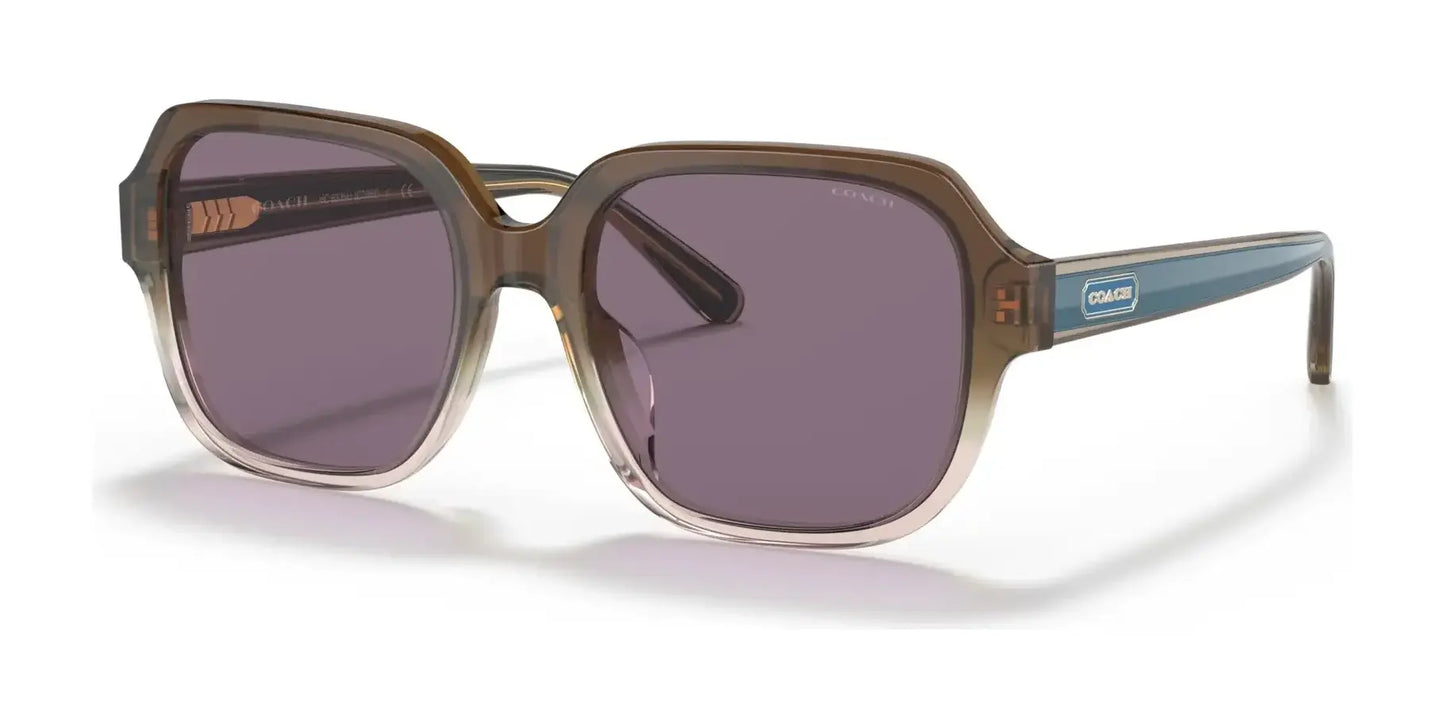 Coach C7989 HC8335U Sunglasses Transparent Brown Gradient / Violet Solid
