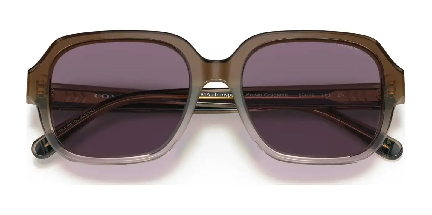 Coach C7989 HC8335U Sunglasses | Size 53