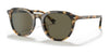 Coach C8007 HC8339U Sunglasses | Size 52 / Tokyo Tortoise №51713 / Dark Brown Solid (3N 12%)