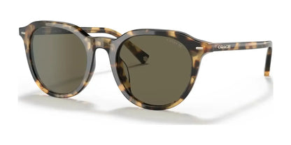 Coach C8007 HC8339U Sunglasses Tokyo Tortoise / Dark Brown Solid