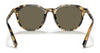 Coach C8007 HC8339U Sunglasses | Size 52 / Tokyo Tortoise №51713 / Dark Brown Solid (3N 12%)