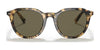 Coach C8007 HC8339U Sunglasses | Size 52 / Tokyo Tortoise №51713 / Dark Brown Solid (3N 12%)