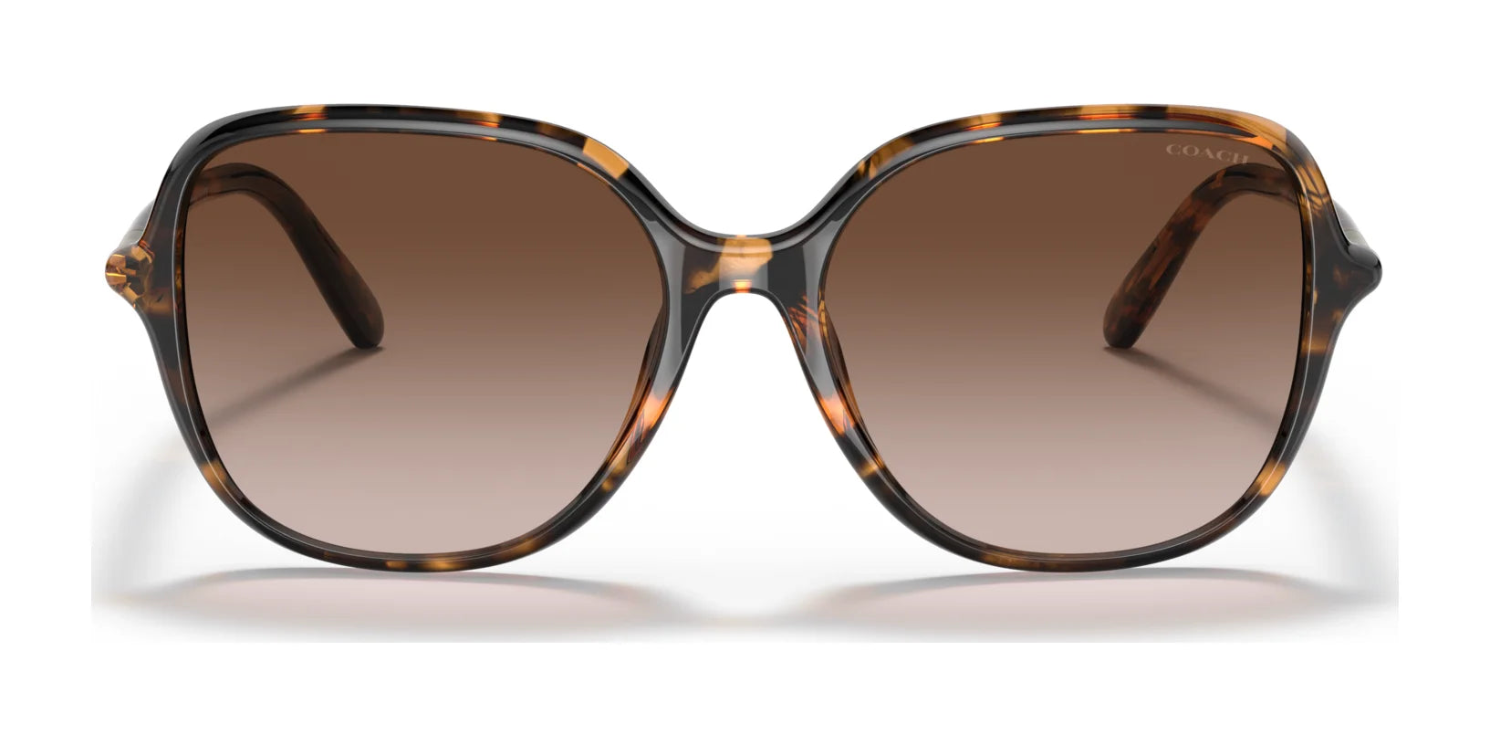 Coach C9205 HC8344U Sunglasses | Size 55