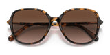 Coach C9205 HC8344U Sunglasses | Size 55