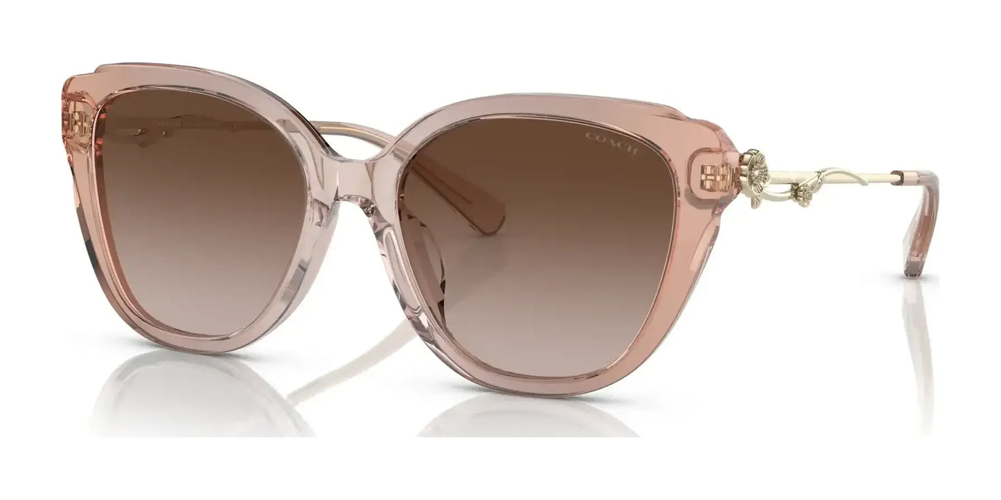 Coach C9199 HC8347BU Sunglasses Gradient Transparent Peach / Brown Gradient