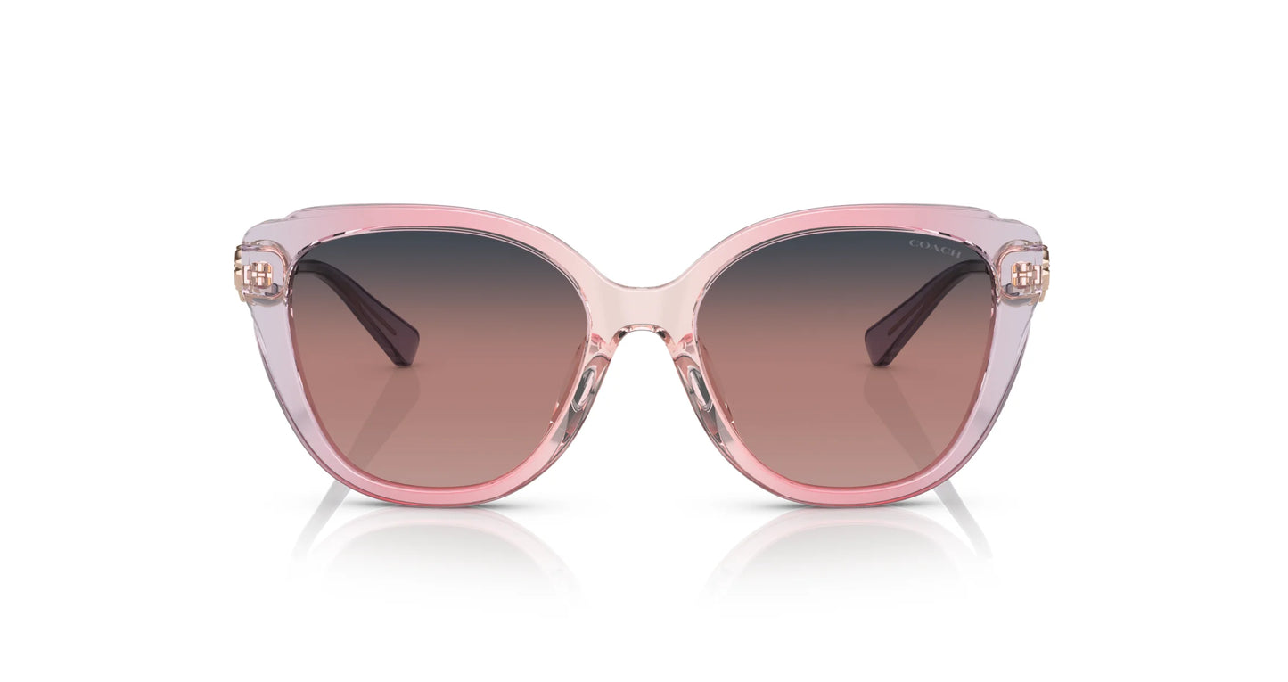 Coach C9199 HC8347BU Sunglasses | Size 55