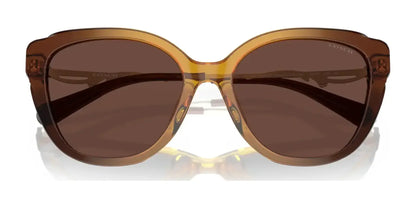 Coach C9199 HC8347BU Sunglasses | Size 55