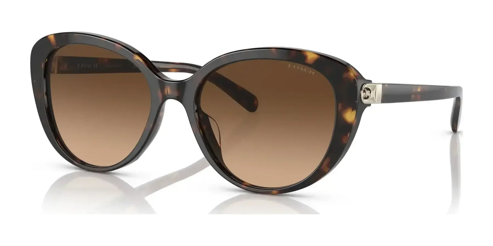 Coach CD479 HC8348U Sunglasses Dark Tortoise / Brown Gradient