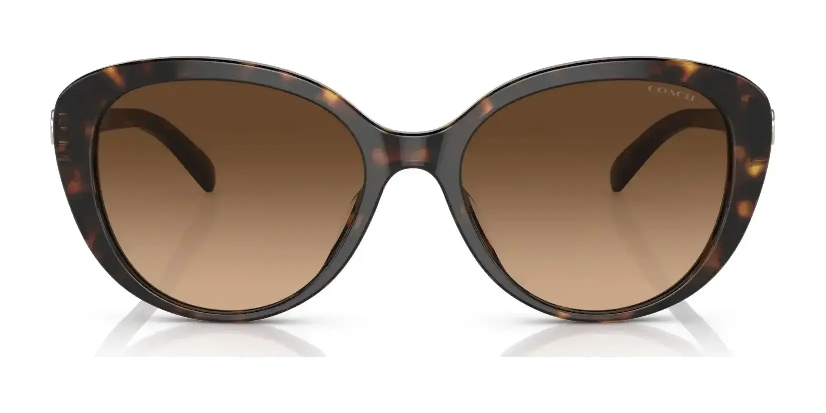 Coach CD479 HC8348U Sunglasses | Size 56
