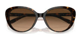 Coach CD479 HC8348U Sunglasses | Size 56